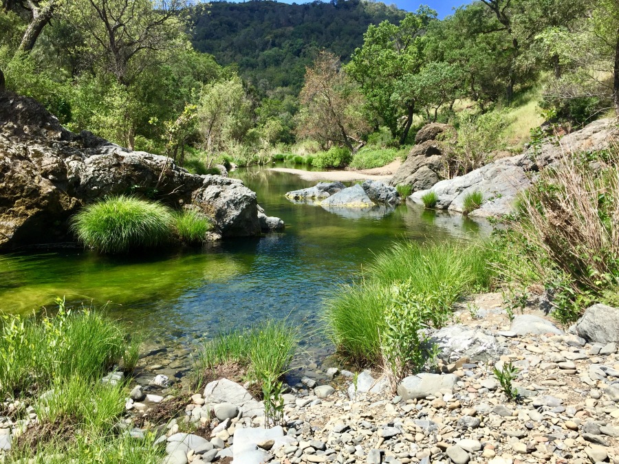 China Hole in Henry Coe State Park